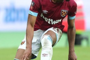 网页版登录入口-包含足总杯转会期走向成谜，夏洛特黄蜂迎来里程碑，气氛紧张，训练强度明显提升的词条